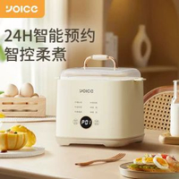 蒸蛋器多功能家用小型煮蛋器防乾燒可預約智慧煮蛋機禮品