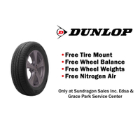 Dunlop 205/55 R17 91V Enasave EC300+ Tire