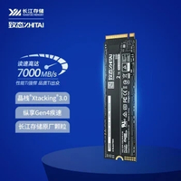 ZhiTai 致態 長江存儲 Ti600 2TB PCIe 4.0 x 4, NVMe 2.0 M.2 SSD