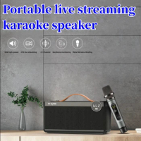 W-King 30W Powerful Wireless Bluetooth Speaker H6 Small-sized Portable High End Home Hi-Fi Speaker With Handheld Metal Microphon