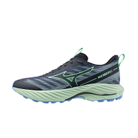 Mizuno Wave Rider Gtx 2 Wide [J1GC248051]男 慢跑鞋 寬楦 防水 緩震 深藍 綠