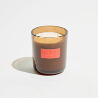 【P.F. CANDLE CO.】美國HI-FI手工香氛蠟燭13oz－細絨香根草(PLUSH VETIVER)