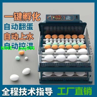 鵝蛋孵化全自動小型家用型智能孵蛋器鴨鵝家用全自動孵化機雞蛋