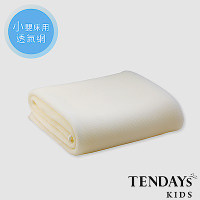 TENDAYS 立體蜂巢透氣網 小單嬰兒床墊用