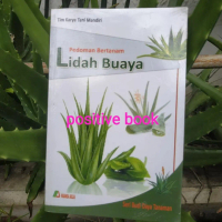 pedoman bertanam lidah buaya budidaya lidah buaya original