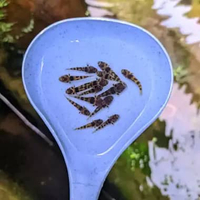 paket 5e hiasan/dekorasi aquarium ikan hias goby bumblebee aquascape