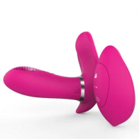 Wireless Heating Butterfly Vibrator Remote Control Distance 20m USB Charge Vibrating Panties Clitoris Sex Toys