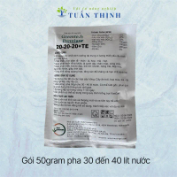 20-20-20 TE gói 50gram pha 30 đến 40 lít nước