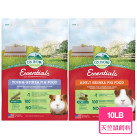 【OXBOW】天竺鼠飼料 10LB/包(豚鼠 荷蘭豬 天竺鼠 幼天 成天)