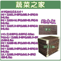 【蔬菜之家】蛇木板(單片裝、10片/捆)  (7種規格可選)