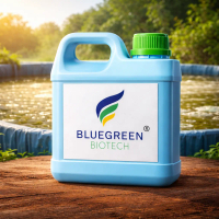 Cara Mengobati Ikan Lele Penyakit Jamur BlueGreen Biotech