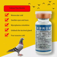 Homing pigeon monocular chlamydia eyes swelling and tearing Mycoplasma infection cold nutrition supplement