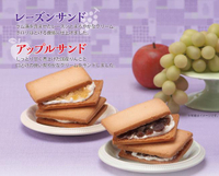 大賀屋 葡萄乾沙 餅乾 日本製 五入 零食 朗姆酒 夾心餅 豐厚 排行榜 醇厚奶油 J00030433