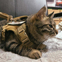 貓咪牽引繩胸背帶戰術馬甲衣服鏈子外出背心K9遛貓小型狗幼犬套背