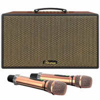 Paramax Loa Karaoke Di Động Xách Tay Aura (Brown Leather)