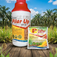 Pilar Up 480 SL Herbisida Sistemik Purna Tumbuh