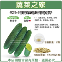 【蔬菜之家】G71-1青海胡瓜(大黃瓜)種子 (共有2種包裝可選)