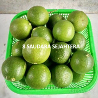 BUAH JERUK NIPIS SEGAR FRESH 250gram