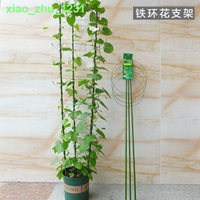 盆栽固定鐵環花支架鐵線蓮爬藤架月季花撐包塑園藝花盆支架