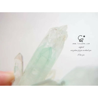 幽靈晶簇 3237/綠幽靈/水晶飾品/ [晶晶工坊-love2hm]