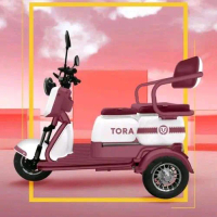 SEPEDA LISTRIK RODA 3 TIGA DEWASA TORA 800 WATT - 48V