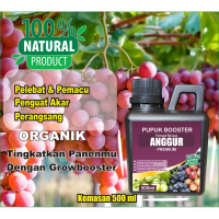 BEST SELLER Pupuk Buah Anggur Kemasan 500ml | Pupuk Organik Cair Anggur, Pelebat, Perangsang, Penyub
