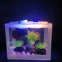 Soliter Cupang Akrilik dilengkapi Lampu dan hiasan akuarium mini