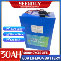 60V 30Ah Lifepo4 Lithium Battery With BMS for Golf Cart Ebike Scooter Bicycle Snowbike Provide 5A Charger