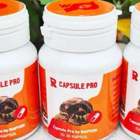 RAPTOR CAPSULE PRO VITAMIN REPTILE