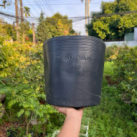 Chậu nhựa dẻo dày C12 Màu đen (32x26 cm) - Trồng hoa, kiểng và rau màu