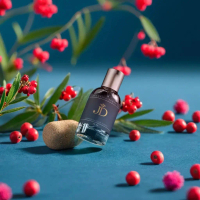 JD Parfume Acqua D Gio Men - Parfume Pria