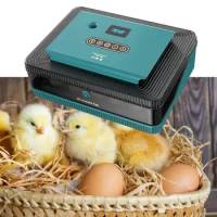 Small Egg Hatcher Machine Lightweight Farm Incubator for Pigeon Duck 25 Eggs