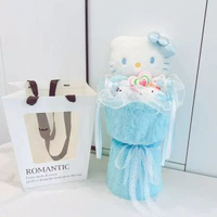 聖誕情人節哈嘍kt玩偶花束送女友閨蜜生日禮物毛絨公仔kitty花束