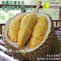 Durian King 馬來西亞原個D197貓山王榴槤(1.4kg連殼)(急凍)06777 1.4kg