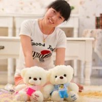 a pair of small cute teddy bear toys blue and pink scraf bear toy lovely bear toys gift dolls about 30cm 0533
