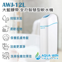 【AQUA-WIN 水精靈】AWH-25L 大藍腰帶 智慧型全戶軟水機/全屋軟水(防止自來水管阻塞 延長管線壽命)