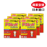 興家安速 水煙殺蟲劑 20g 6入(水蒸式煙霧可達七米高)