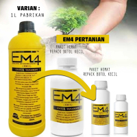 Probiotik EM4 Pertanian Fermentasi dari Genus Lactobaci pupuk