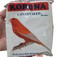 KORONA KENARI SEED POLOS