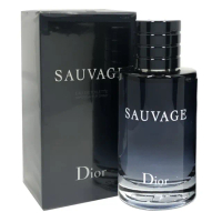 【Dior 迪奧】曠野之心男性淡香水100ml(國際航空版)