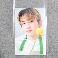 Mashiho Photocard - Official from BLOOMING Treasure Binder