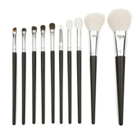 ONE ORCHID Pro10 Pcs Goat Hair Powder Contour Highlighting Makeup Brushes Tapered Crease Blending Shader Eyeshadow Cosmetic Kit