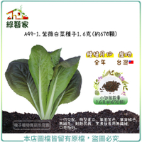 【綠藝家】A49-1.紫薇白菜種子1.6克(約670顆)