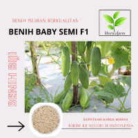 25 > biji benih TIMUN BABY SEMI F1 bonus pembelian