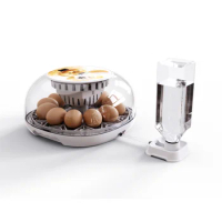 Automatic Egg Incubator Household Small Chicken Duck Automatic Water Adding Intelligent Temperature Control Incubator