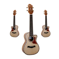 Hot Selling String Instruments High-quality Ukulele 23 Inch Matte Finish Customized Instrument Student Guitar Wholesale Price