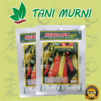 Q&J2 Benih Cabe Rawit Unggul MOMPYOR 10gr Serdadu Seed STOK TERBATASAL968