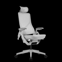 เก้าอี้เพื่อสุขภาพ TT Aeroflex Ergochair หนัง Ashy Grey