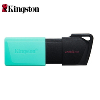【Kingston 金士頓】DataTraveler Exodia M 256GB USB 隨身碟【三井3C】