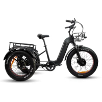 Removable Battery 350W Motor Aluminum Frame 3-Wheel Electric Bicycle for Adults Senior Men Women Cargo Bike Electric